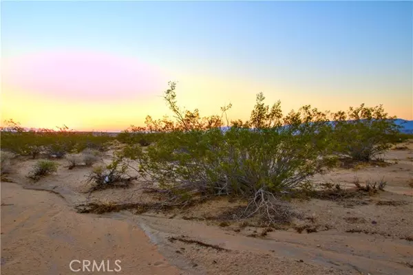 Joshua Tree, CA 92252,1475 Windsong AVE