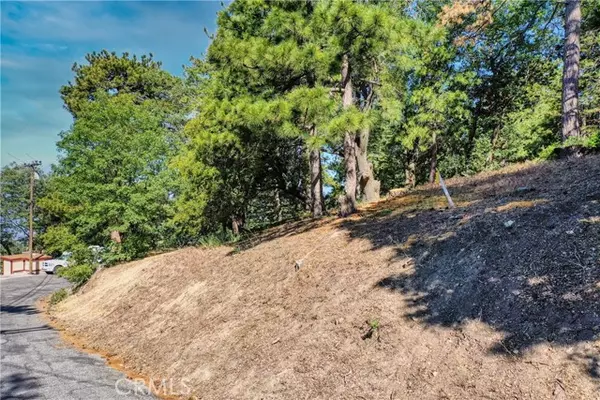 Running Springs, CA 92382,246 Lot Ferndale Dr