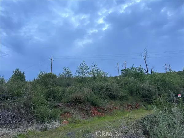 Oroville, CA 95965,12196 Concow RD