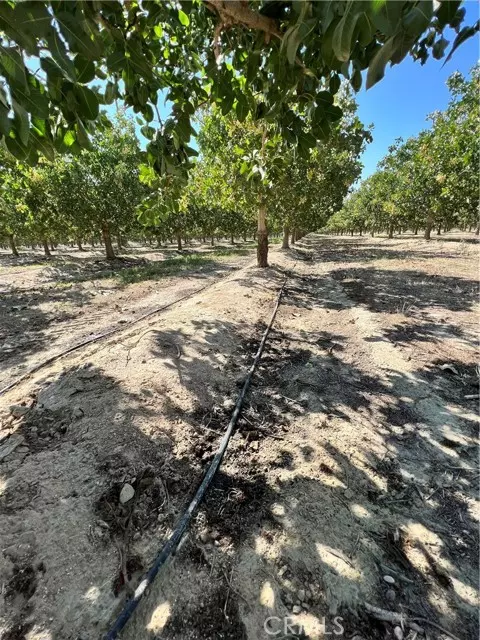 Alpaugh, CA 93215,10975 Avenue 16