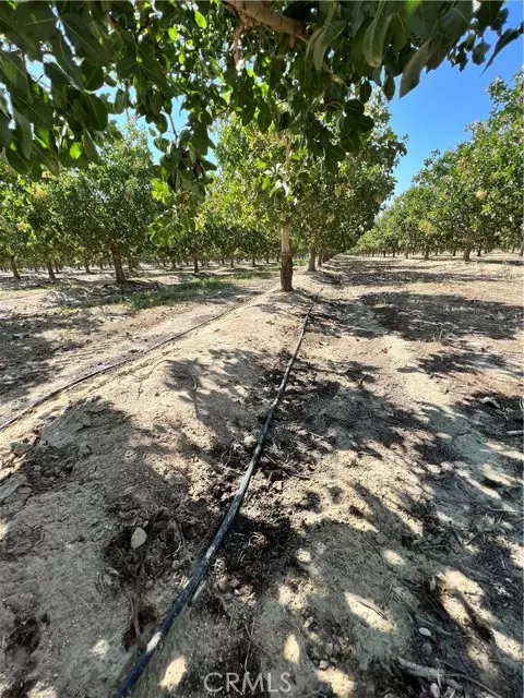 Alpaugh, CA 93215,10975 Avenue 16