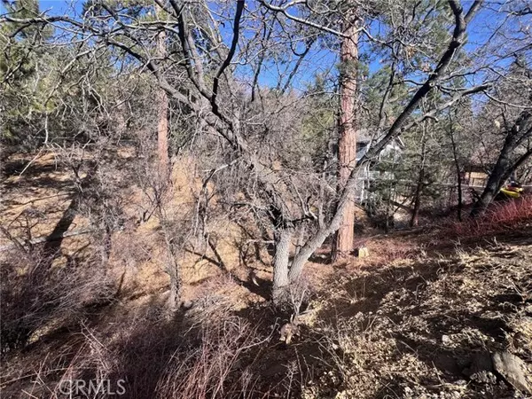 Big Bear City, CA 92314,1230 S Minton AVE