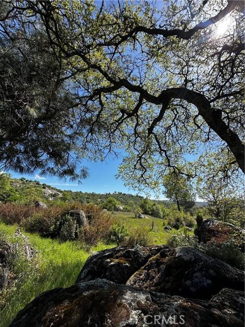 Mariposa, CA 95338,4658 Little Bear RD