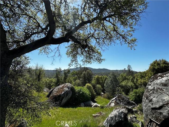 Mariposa, CA 95338,4658 Little Bear RD