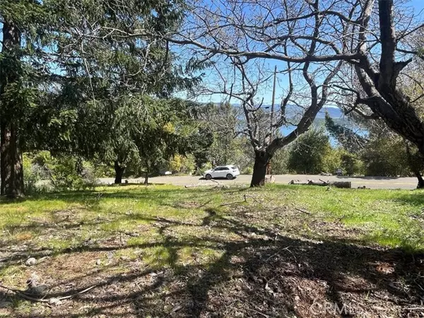 3675 Crestwood DR, Kelseyville, CA 95451