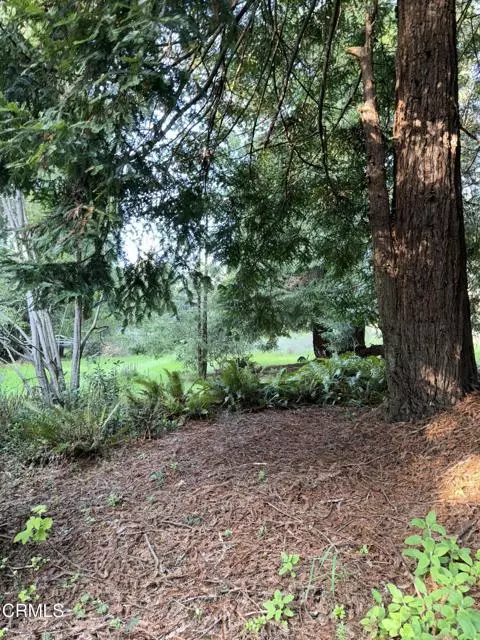 Fort Bragg, CA 95437,31750 Pudding Creek RD