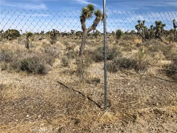 Pinon Hills, CA 92372,10823 Daisy Court LN