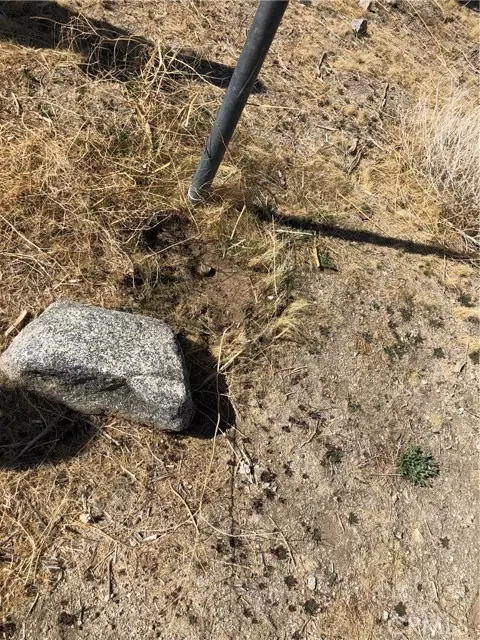 Pinon Hills, CA 92372,10823 Daisy Court LN