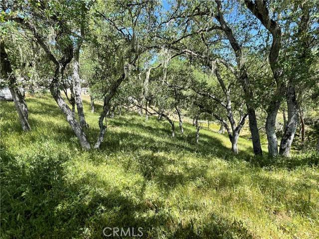 2532 Anchor CIR, CA 93426