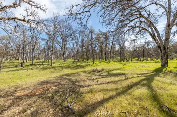 Mariposa, CA 95338,5328 E Whitlock RD