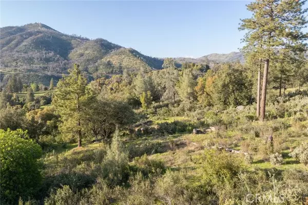 Mariposa, CA 95338,3433 Sterling CT