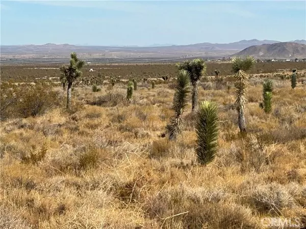 Llano, CA 93544,8 Fort Tejon RD