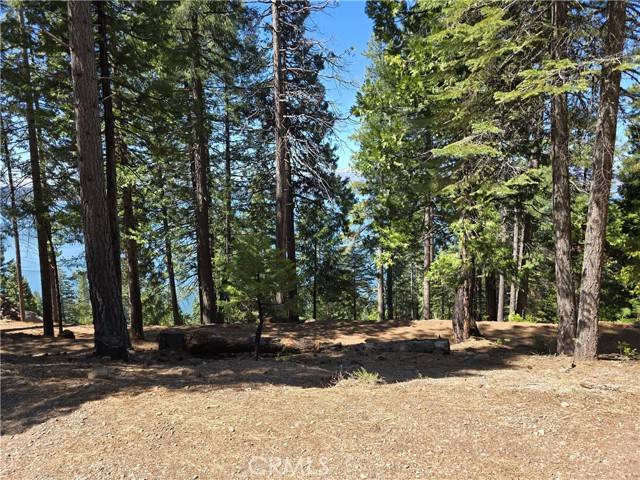 Lake Almanor, CA 96137,777 Lassen View DR