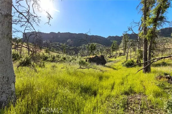 Chico, CA 95928,0 Honey Run RD