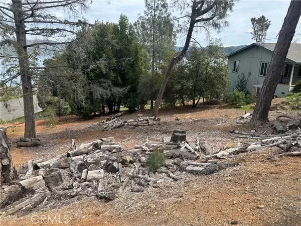 Kelseyville, CA 95451,3524 Idlewood DR