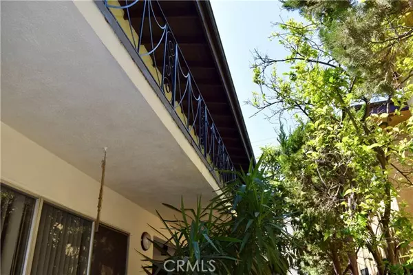 Glendale, CA 91206,341 N Isabel ST