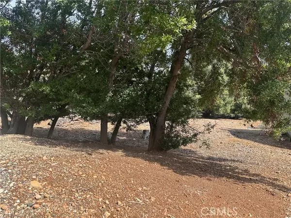 Kelseyville, CA 95451,8146 Broadview DR