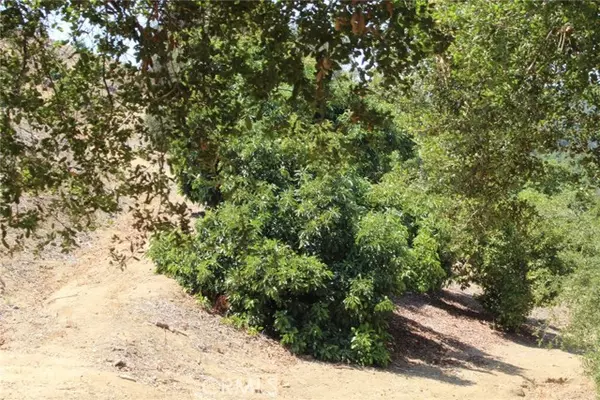 Temecula, CA 92590,4 Via Vaquero RD