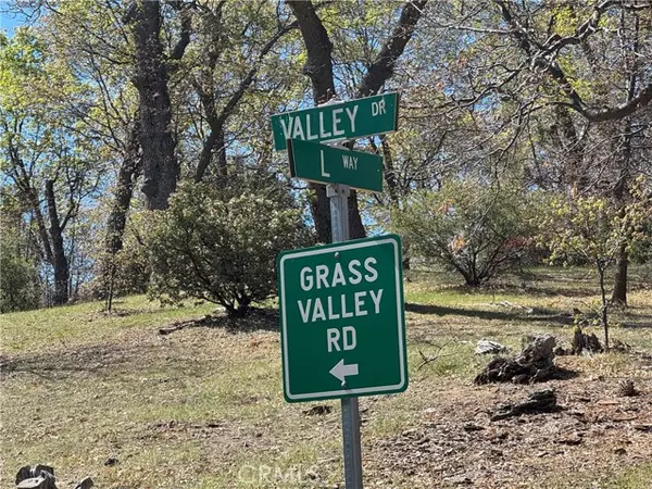 Lake Arrowhead, CA 92352,1684 L WAY