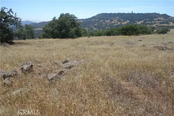 Murrieta, CA 92562,20 Avocado Mesa