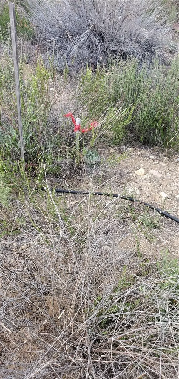 Newhall, CA 91321,0 Vacant