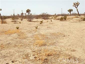 Victorville, CA 92392,10572 Gorgonio