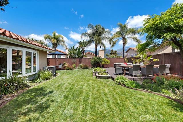Rancho Santa Margarita, CA 92688,3 Calendula