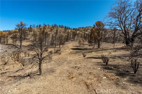 Wrightwood, CA 92397,0 North Cardinal Rd