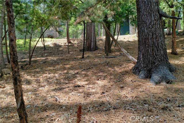 0 TER, Lake Arrowhead, CA 92352