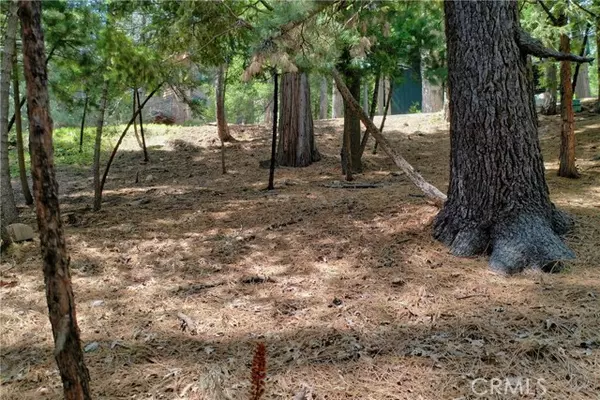 Lake Arrowhead, CA 92352,0 TER