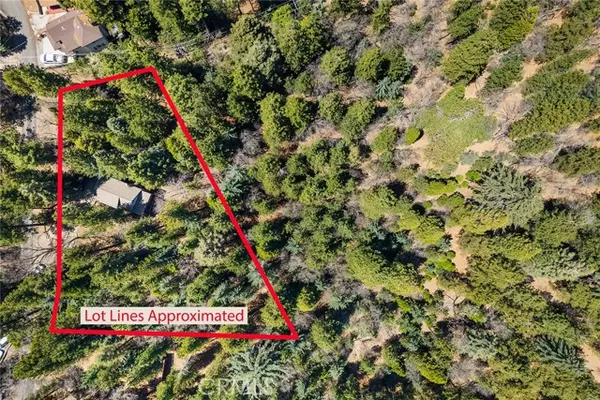 Rimforest, CA 92378,1163 Scenic WAY