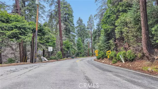 642 Rose Quartz RD, Cedar Glen, CA 92321