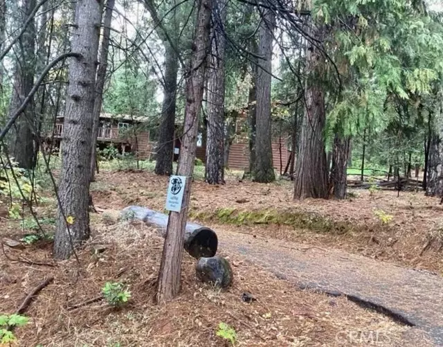 14669 Old Camptonville RD, Camptonville, CA 95922