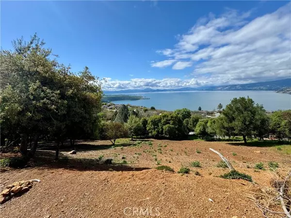 Kelseyville, CA 95451,3139 Skyline DR