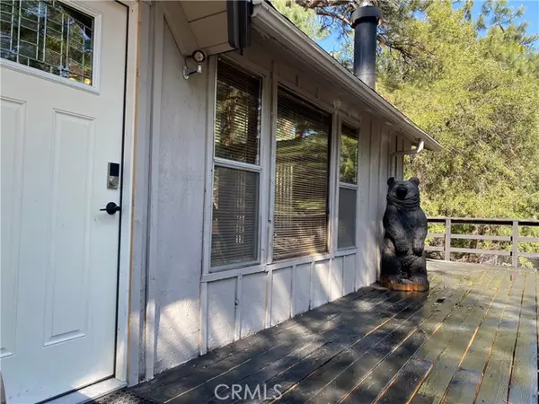Idyllwild, CA 92549,25300 Marion Ridge DR
