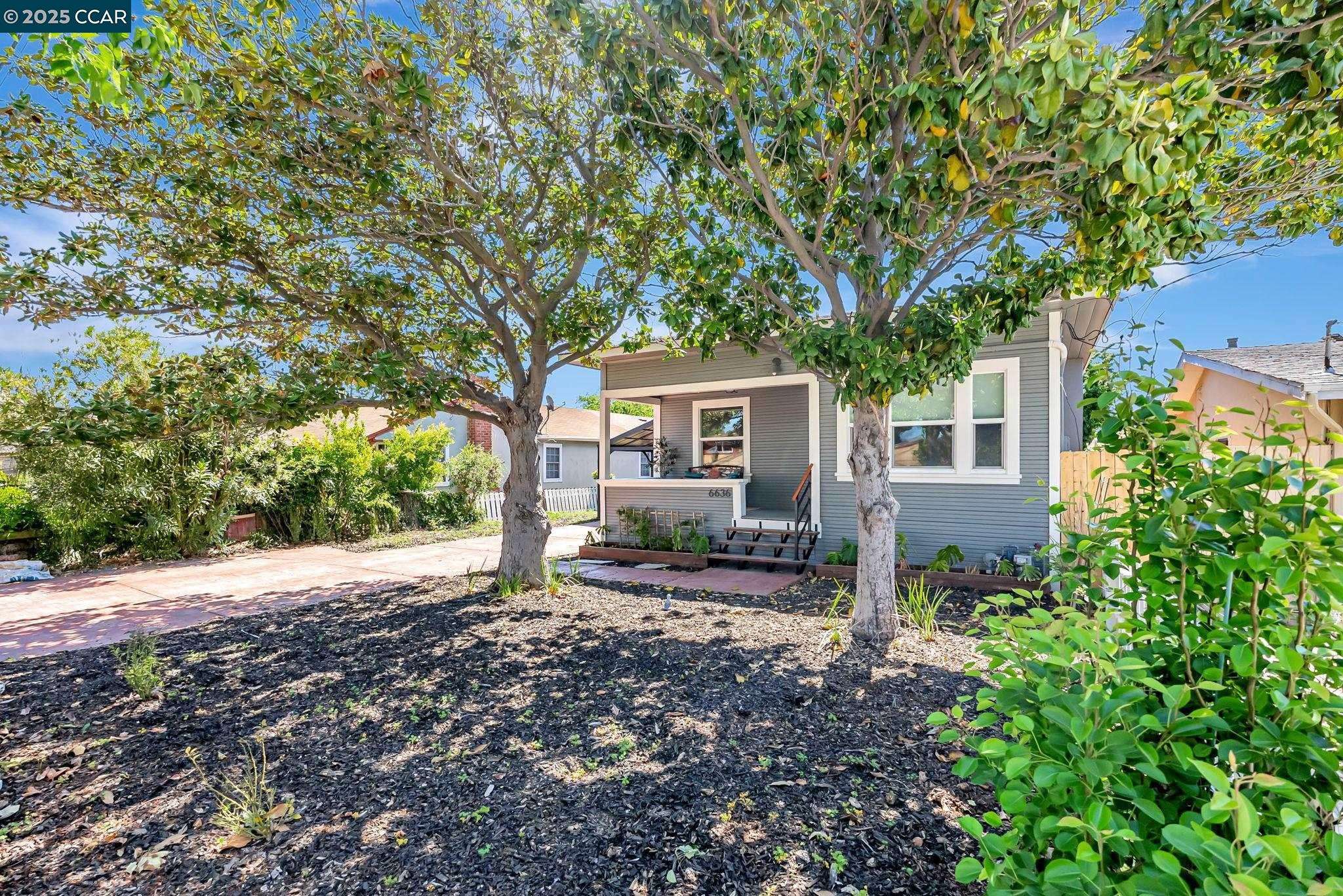 6636 Graham Ave, Newark, CA 94560