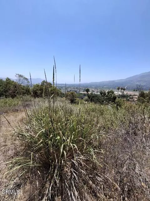 Fillmore, CA 93015,0 Fremlin DR