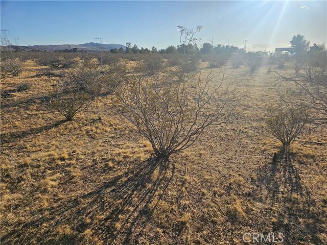 Apple Valley, CA 92308,0 Loma Vista Rd