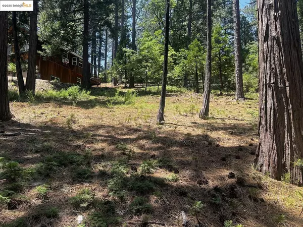 Arnold, CA 95223,2904 Venado DR