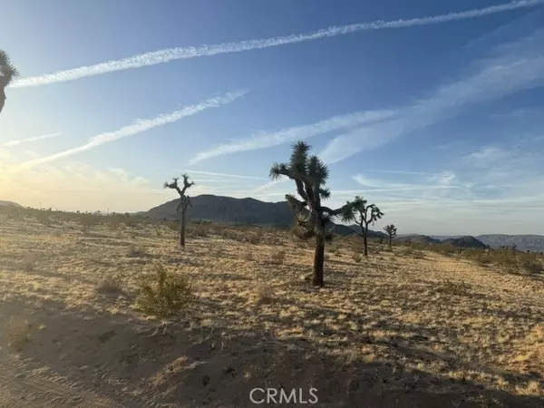 59860 Stearman RD, Landers, CA 92285