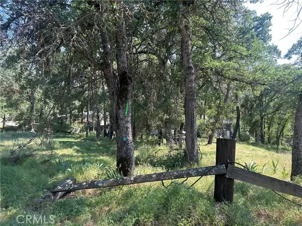 Clearlake, CA 95422,15879 20th AVE