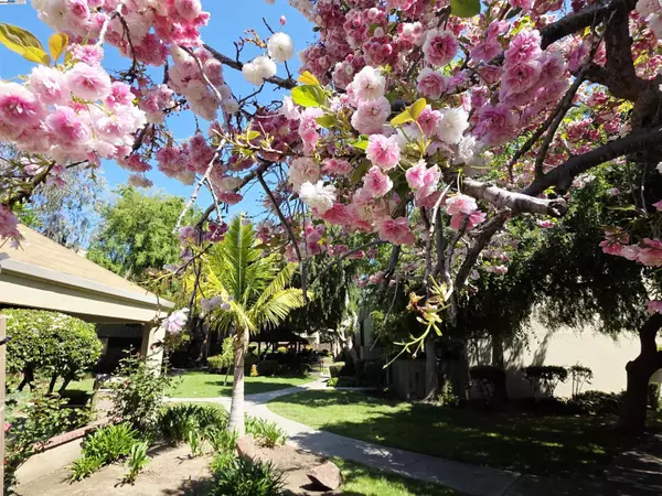 320 Auburn Way 25,  San Jose,  CA 95129