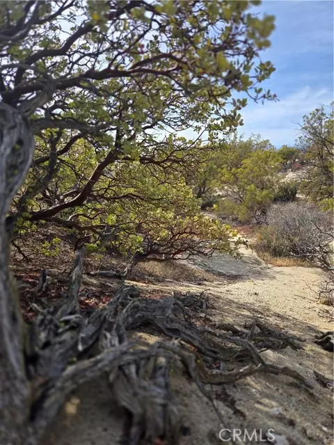 Anza, CA 92539,61400 Indian Paint Brush RD