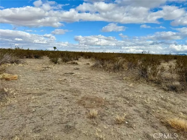 Pinon Hills, CA 92372,31005410 4 Dos Palmas AVE