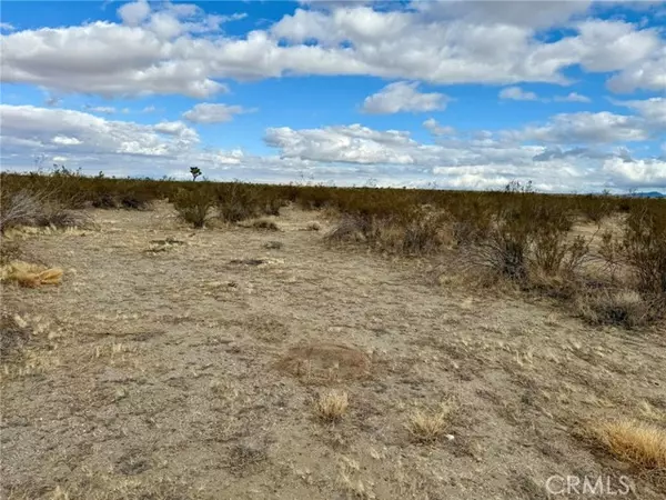 31005410 4 Dos Palmas AVE, Pinon Hills, CA 92372