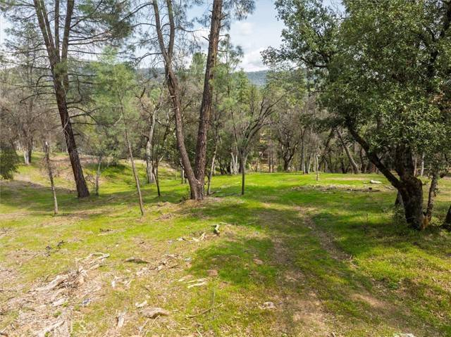 Oakhurst, CA 93644,0 Springwood CT