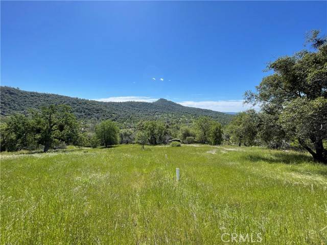 3116 River Haven DR, Mariposa, CA 95338