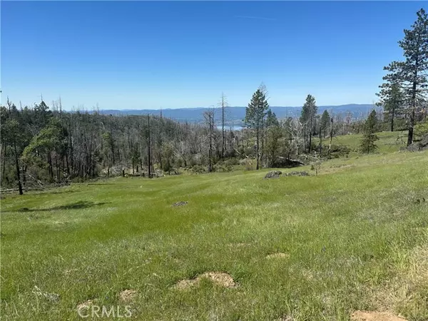 8191 Deer Valley RD, Lucerne, CA 95458
