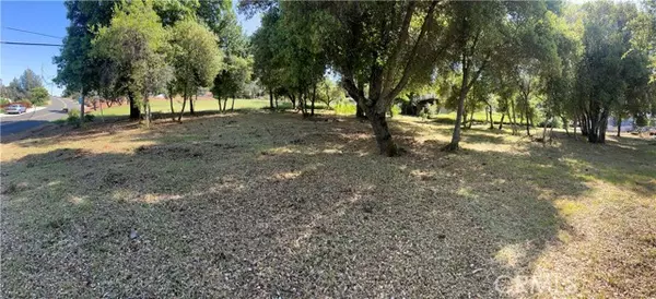 Kelseyville, CA 95451,9539 Fairway DR