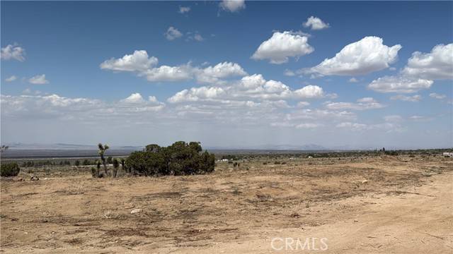 Llano, CA 93544,0 Ave Y8 & 233rd St E AVE